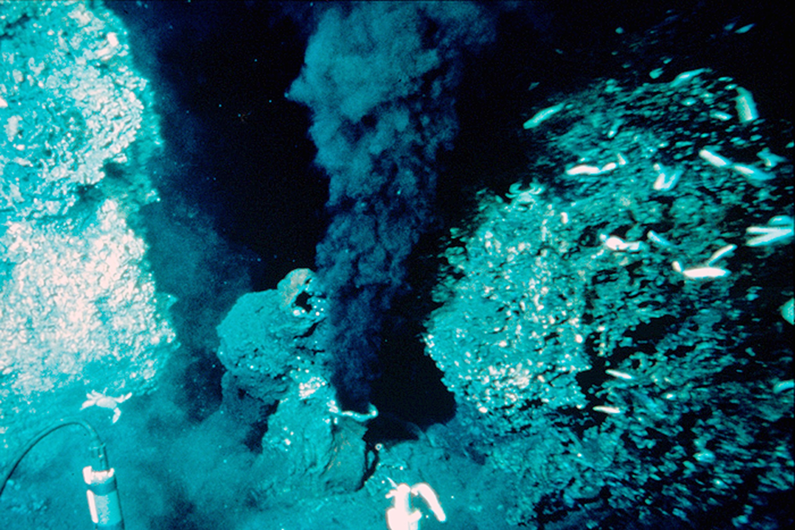 ブラックスモーカーは、1979年に北緯21度の東太平洋海上で最初に発見された。