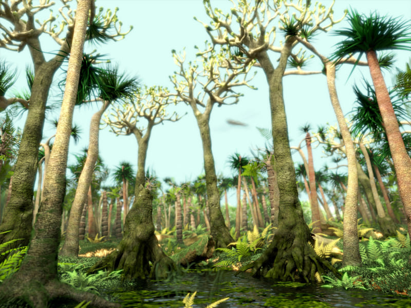 最古 3億8500万年前の森の化石を発見 地球大気変革の原因に迫る ナゾロジー