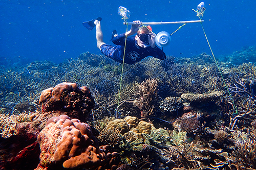 魚は「健康なサンゴ礁の音」を聞くことで死んだサンゴ礁を復活させるの画像 2/3