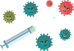 ついにインフルエンザABC型すべてに対応するワクチンが開発されるの画像 3/3