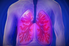 肺は喫煙ダメージを「細胞の置換」によって修復できると判明の画像 2/3