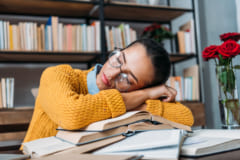 勉強中と睡眠中の「匂い」が学習効率を向上させるの画像 1/3