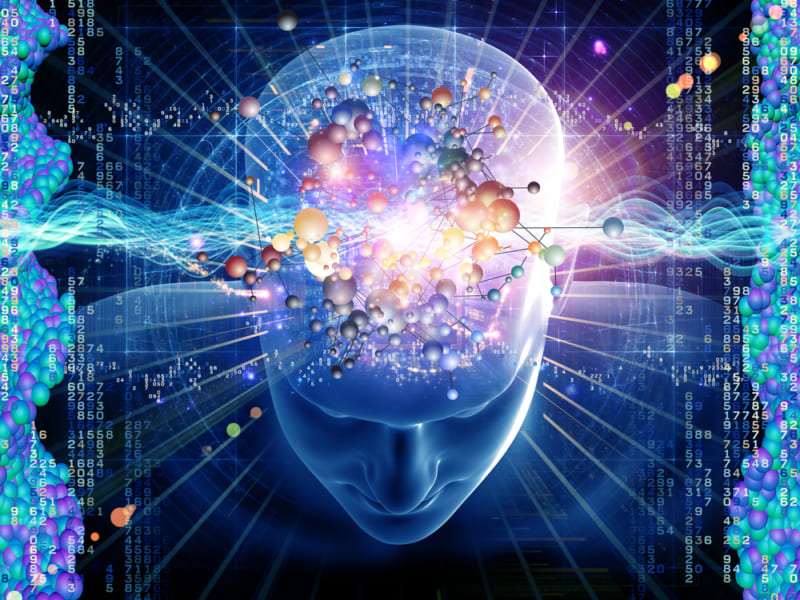 意識の発生源がわずか3ミリの脳組織であることが判明