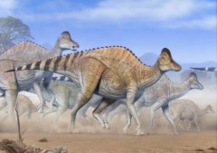 ついに恐竜の化石からDNAとタンパク質が初検出されるの画像 1/5