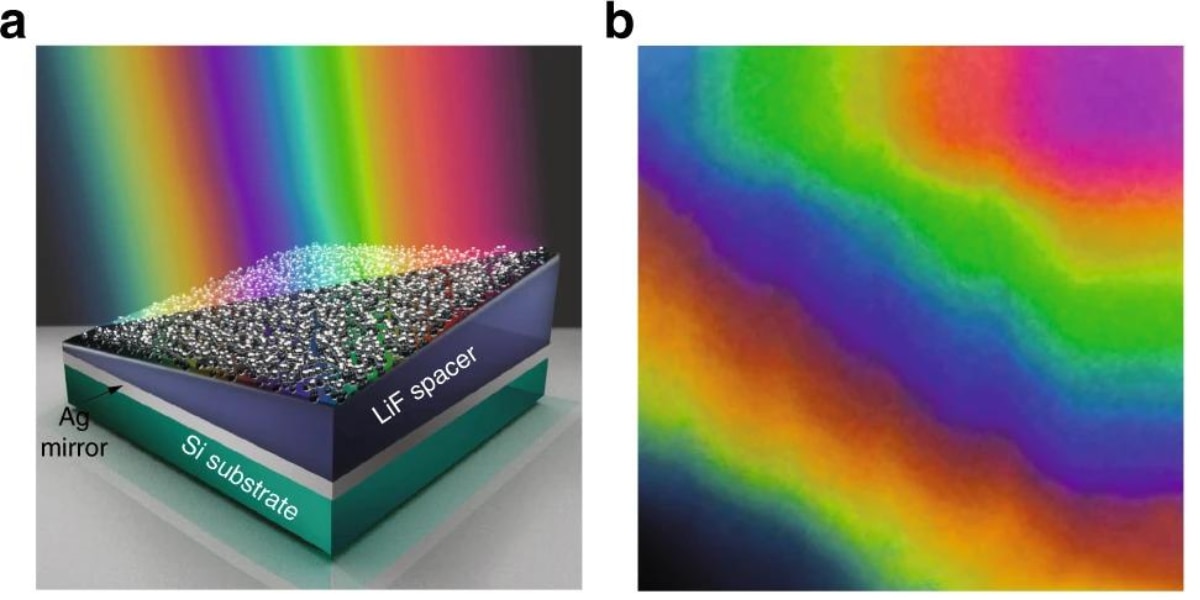 表面の微細構造が特定の波長だけを反射させることで構造色は生まれる