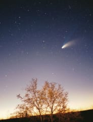 5月末に「肉眼で見える彗星」が出現するかもしれないの画像 2/4