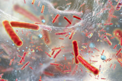 細菌は宇宙で抗生物質耐性を持った”危険な存在”になるかもしれないの画像 3/4