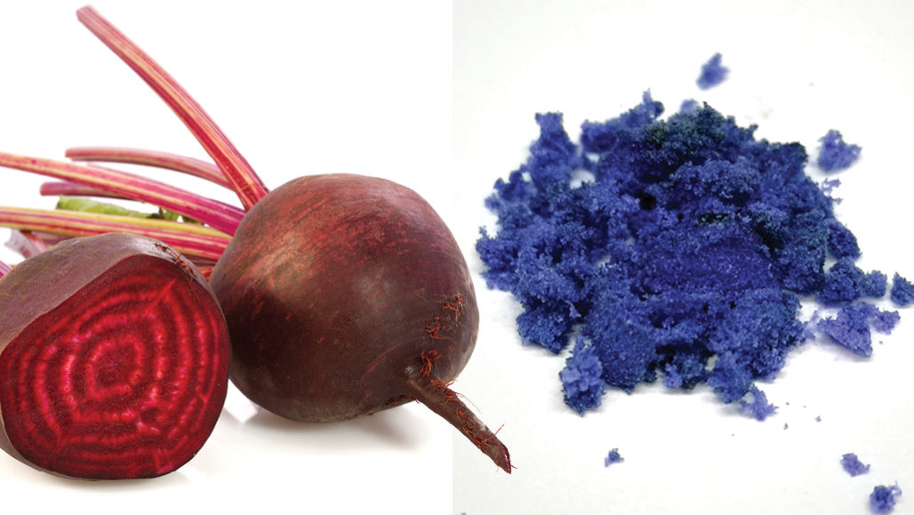 真っ赤な野菜 ビーツ から青色染料を作り出すことに成功 ナゾロジー
