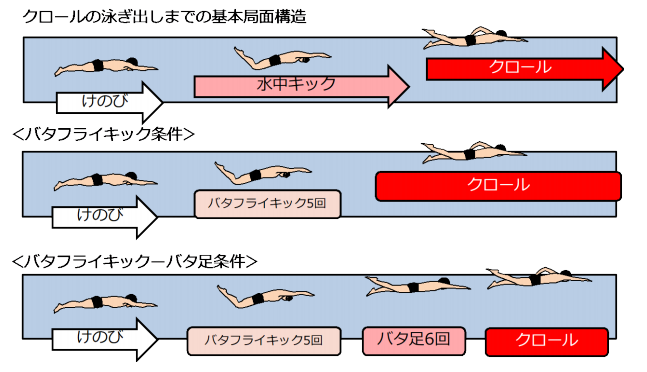 クロールを泳ぎ出す前の「バタ足」が減速の原因に　研究で実証（日本）の画像 2/3