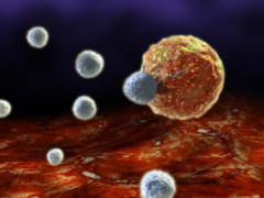 新型コロナウイルスは「免疫細胞を無効化する」という研究結果の画像 2/4