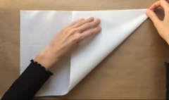 簡単便利！ペーパータオルだけで作れる「折り紙マスク」の作り方の画像 4/40
