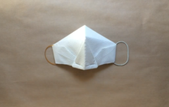 簡単便利！ペーパータオルだけで作れる「折り紙マスク」の作り方の画像 40/40