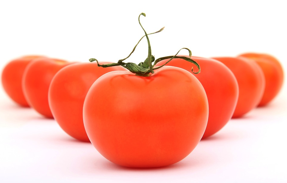 常温 Or 冷蔵 トマトのベストな保存方法が研究で判明 ナゾロジー
