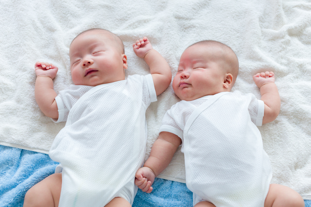 一 卵 性 双生児 と は 双子妊娠の早産の確率 双子妊娠のリスクとは 一卵性と二卵性の違い Amp Petmd Com