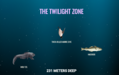 スクロールすると深海にどんどん潜れるサイト「The Deep Sea」は時間が溶ける面白さの画像 4/18