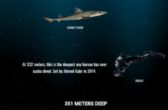 スクロールすると深海にどんどん潜れるサイト「The Deep Sea」は時間が溶ける面白さの画像 5/18