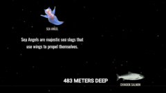 スクロールすると深海にどんどん潜れるサイト「The Deep Sea」は時間が溶ける面白さの画像 6/18