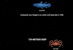 スクロールすると深海にどんどん潜れるサイト「The Deep Sea」は時間が溶ける面白さの画像 7/18