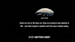 スクロールすると深海にどんどん潜れるサイト「The Deep Sea」は時間が溶ける面白さの画像 10/18