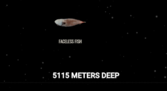 スクロールすると深海にどんどん潜れるサイト「The Deep Sea」は時間が溶ける面白さの画像 14/18