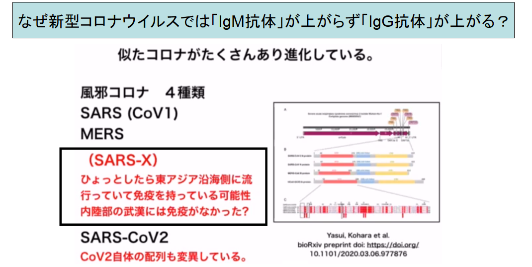 日本人は新型コロナウイルスに対して免疫を持っている可能性　低い死亡率の原因？の画像 5/6