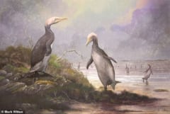 3700万年前の北半球には、ヒトの背丈と同じ大きさの”ペンギンみたいな生き物”が存在していた？の画像 1/6