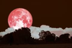 今夜は「ストロベリームーン」と半影月食が見られる特別な日！（6月6日早朝）　ほんとうに月が赤くなるのか簡単解説の画像 1/6
