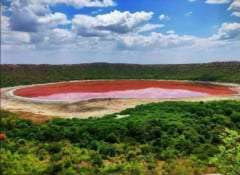 湖が一晩で「真っ赤」に変色する怪奇現象が発生。　その原因とは？（インド）の画像 3/3