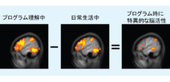 プログラマーの脳は作業中に”誰かの声”を聞いていると判明！　数学力より音声理解力が重要の画像 2/3
