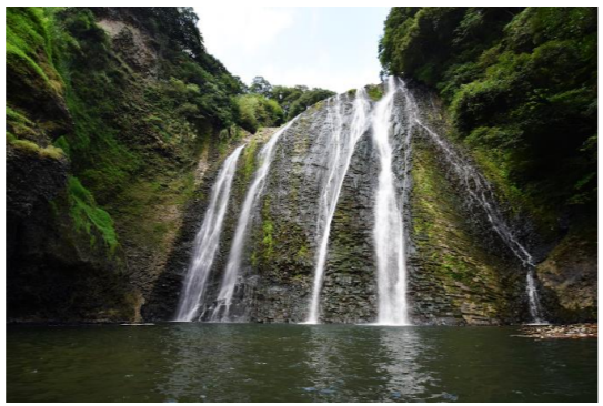 ニホンウナギは「高さ46メートルの滝」を登れることが判明！　成長のためにダムを突破する可能性もの画像 2/3