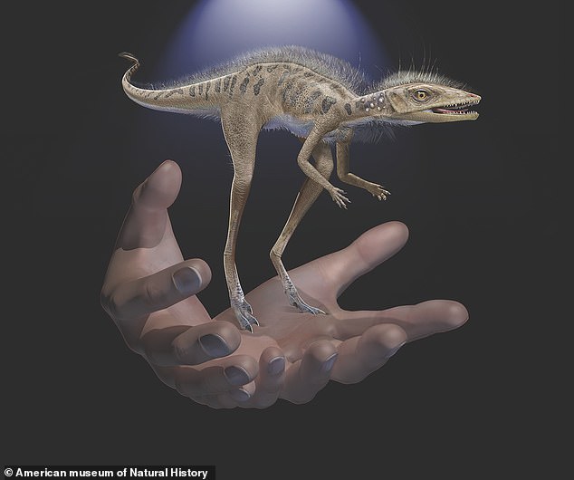 約2億年前の化石から「体長わずか10センチの恐竜」を発見！　大型恐竜の祖先かも（マダガスカル）の画像 2/3