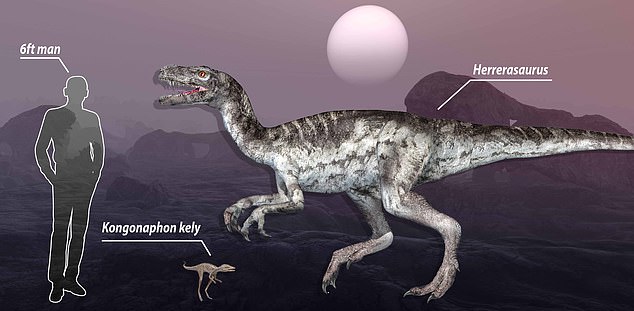 約2億年前の化石から「体長わずか10センチの恐竜」を発見！　大型恐竜の祖先かも（マダガスカル）の画像 3/3