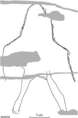 1万3000年前のマンモスの牙に「ラクダの争い」を描いた彫刻絵が見つかる。　アジア最古の動物絵画を発見か!?の画像 6/6