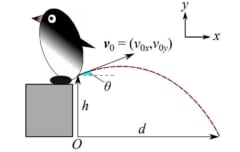 【笑撃】ペンギンが「糞を噴射するときの軌道」を物理学的に計算!?　イグノーベル賞研究を日本人が発展させるの画像 2/2