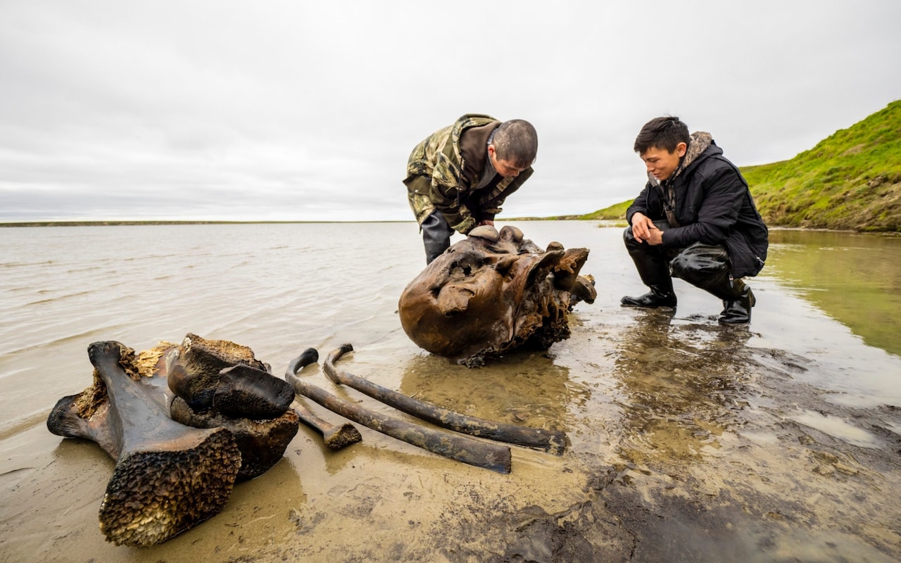 シベリアの湖で約1万年前に死んだ「巨大マンモスの頭蓋骨・肋骨・脚骨」を発見の画像 2/3
