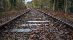 線路の上に「落ち葉」があると電車が滑りやすくなる現象を解明。　タンニンによって秋の電車は遅延していた!?の画像 2/3