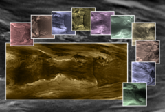 金星の雲の下に、35年間気づかれなかった「巨大な波動」を観測の画像 2/4