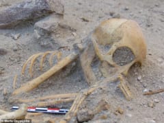 ヒトの子どもに見える「2000年前のサルの遺骨」をエジプトで発見！ペットとしてインドから輸入されていたの画像 3/5