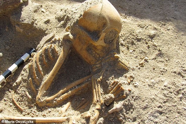 ヒトの子どもに見える「2000年前のサルの遺骨」をエジプトで発見！ペットとしてインドから輸入されていたの画像 1/5
