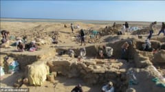 ヒトの子どもに見える「2000年前のサルの遺骨」をエジプトで発見！ペットとしてインドから輸入されていたの画像 2/5