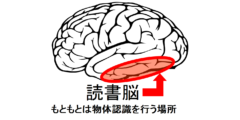 読書を可能にする「読書脳」の存在が確認される。読み書きの基本コードを解明！の画像 1/5