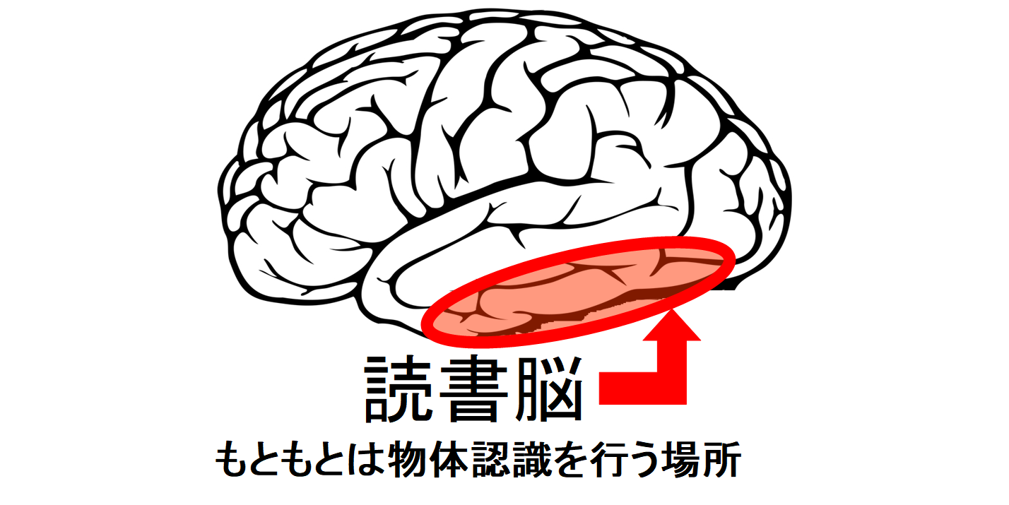 読書を可能にする「読書脳」の存在が確認される。読み書きの基本コードを解明！の画像 1/5