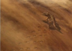 3億年前の「脊椎動物の足跡」が米グランドキャニオンで見つかる。足跡化石の”最古の記録”を更新！の画像 4/6