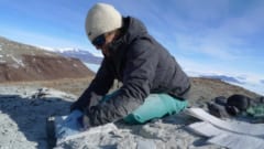 2億5000万年前、南極にいた生物のキバに「冬眠」の痕跡を発見！冬眠を始めた最初の生物かもの画像 5/5