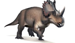 史上初、恐竜がヒトと同じ「骨のがん」に罹っていた証拠を発見！　がんの進化を解明する上で貴重な資料にの画像 2/3