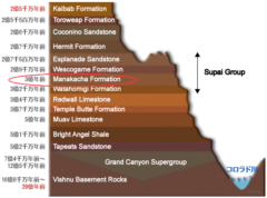 3億年前の「脊椎動物の足跡」が米グランドキャニオンで見つかる。足跡化石の”最古の記録”を更新！の画像 3/6