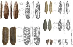 8000年前のアラビアでは「役立たない石器」を”うで自慢”のためだけに作っていたの画像 3/6