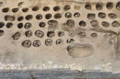 大阪駅の北側から「1500体の人骨」が出土！江戸時代に埋葬された庶民の遺骨かの画像 1/6