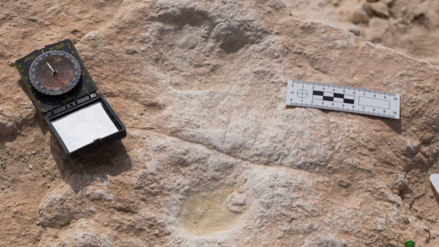アラビア半島で「約12万年前の人類の足跡」を発見！”出アフリカ横断中”の足跡か