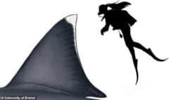 最恐モンスターサメ「メガロドン」の正確なサイズが判明！ジョーズも逃げ出すデカさだったの画像 5/5